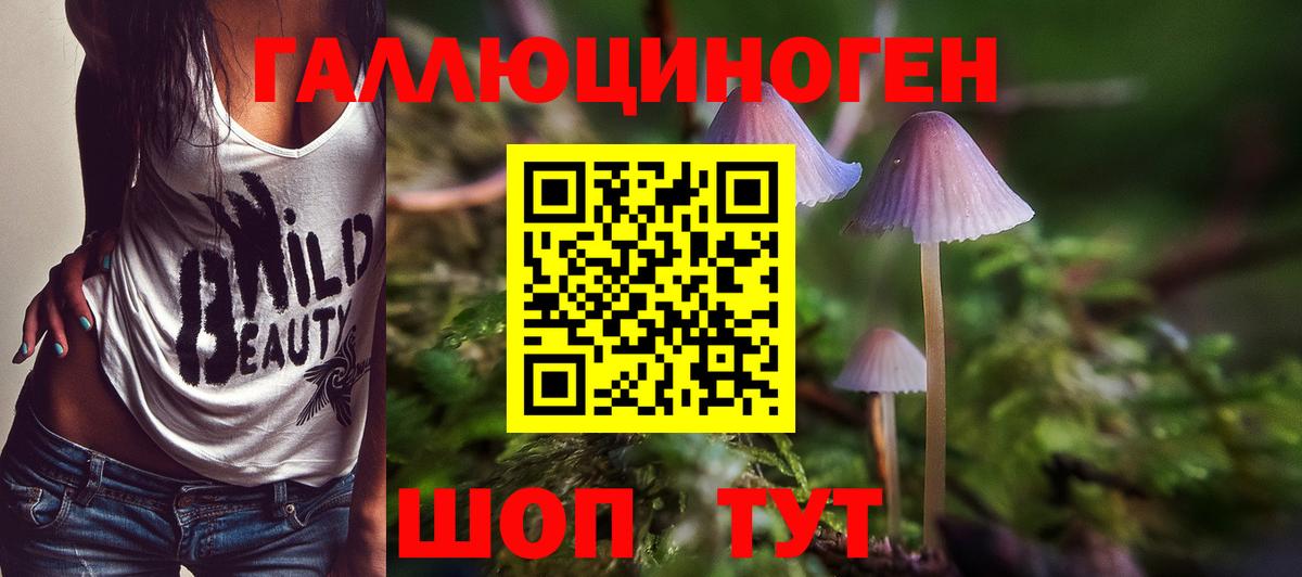 Псилоцибиновые грибы Cubensis  Вход с VPN  Псилоцибиновые грибы мухоморы  Вичуга 
